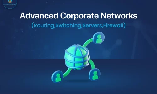 Advanced Corporate Networks (Routing,Switching,Servers,Firewall)