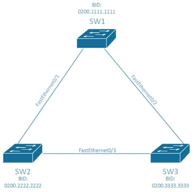بروتوكول الشجرة الممتدة
